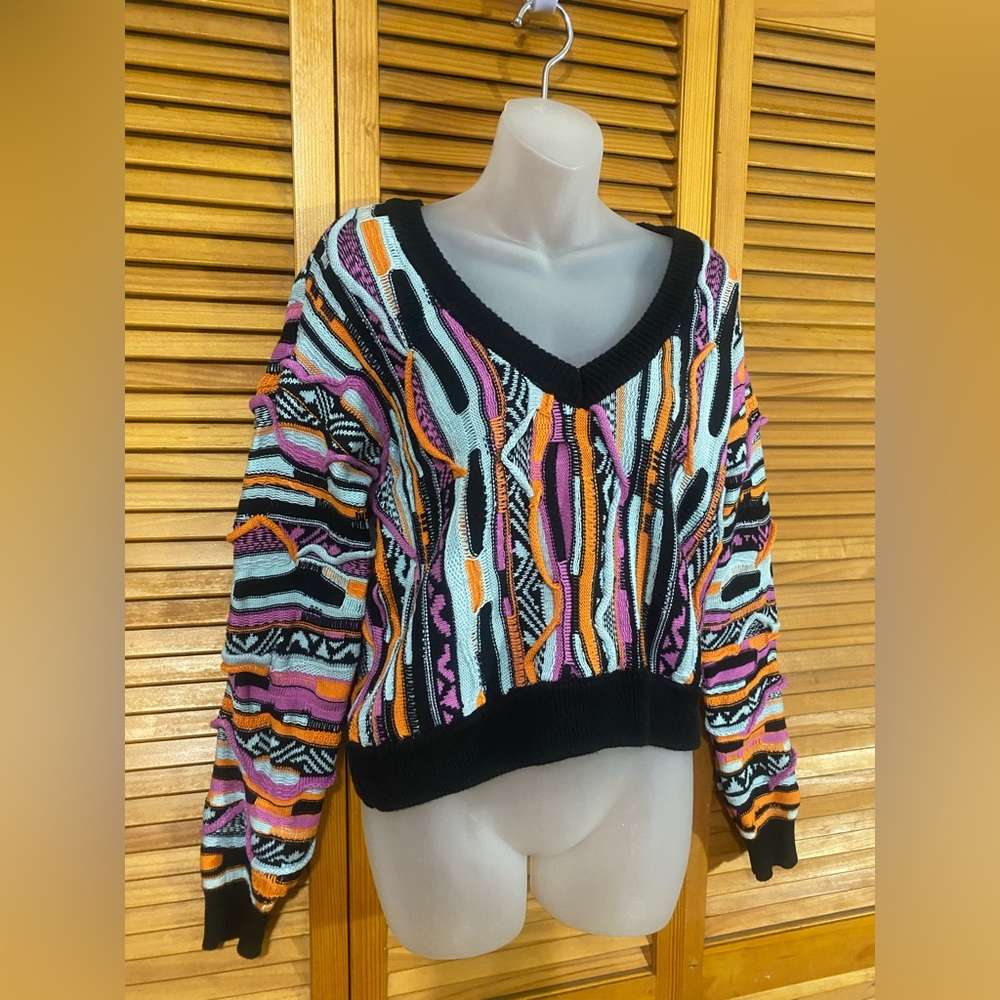 Reposhed Forever 21: Coogi-inspired sweater II (cropped)